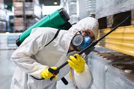 Best Fumigation Services  in Coraopolis, PA